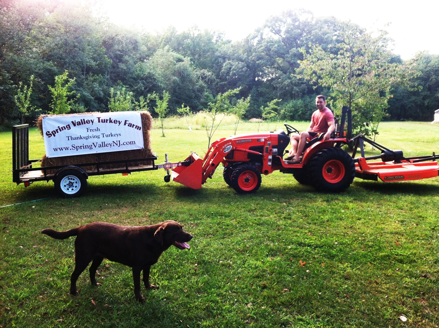 Tractor and Spring Valley Turkey Farm banner at the farm